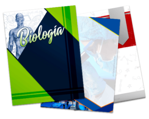 Como hacer una portada en Word